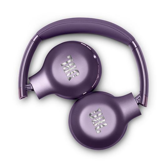JBL EVEREST 310 Wireless On ear headphones