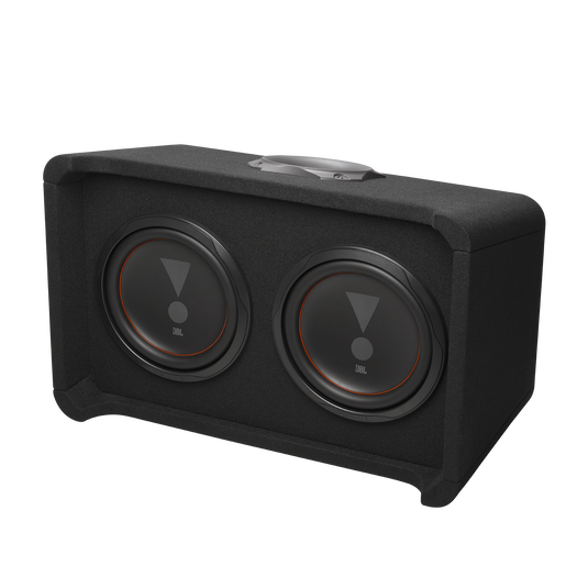 CLUB 1000D | Ported enclosure with two 10