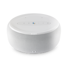 JBL Link 300 | Voice-activated speaker
