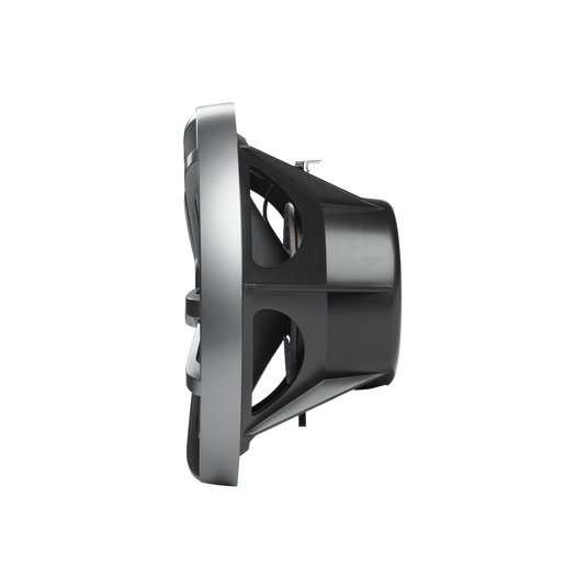 Stage Marine 10-inch Subwoofer