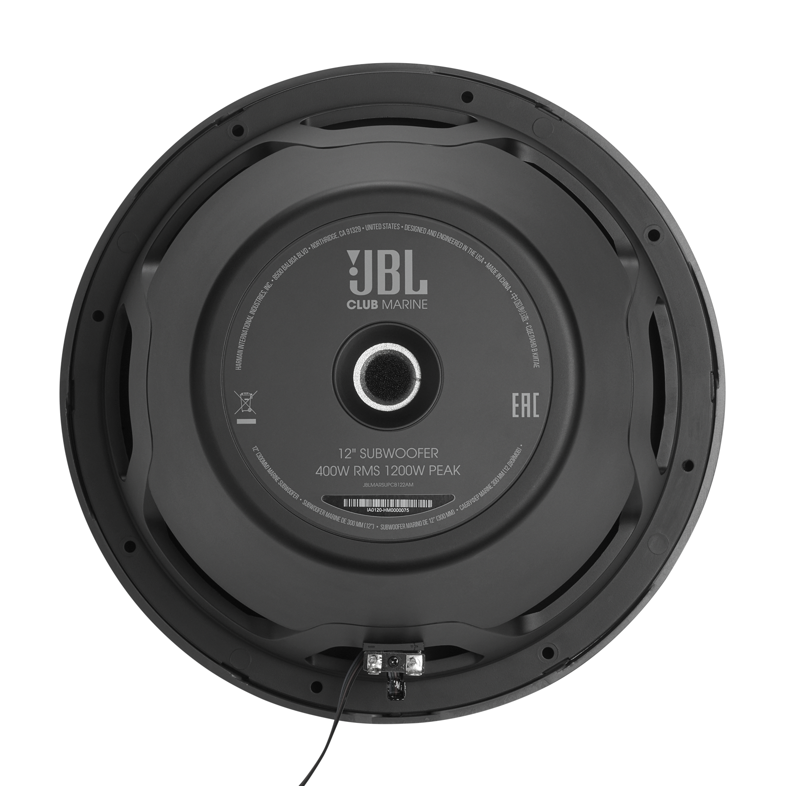 Club Marine 12" Subwoofer