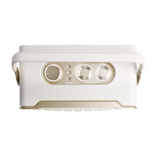 JBL Authentics 300 | Portable smart home speaker with Wi-Fi