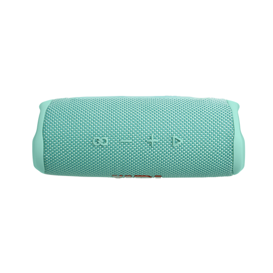 JBL Flip 6