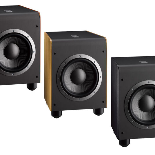 ES150P | Powerful 500-watt Powered Subwoofer