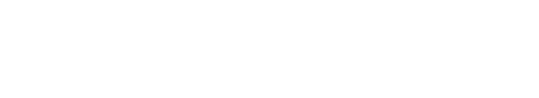 Quantum 100p