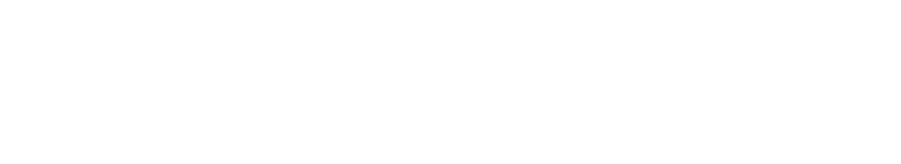 Quantum 910P