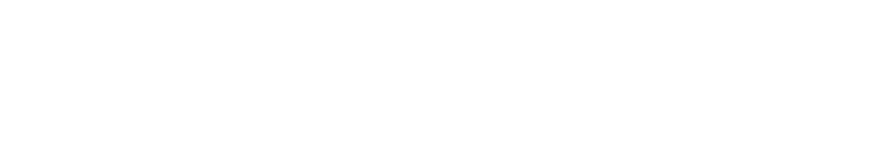 Quantum 360P