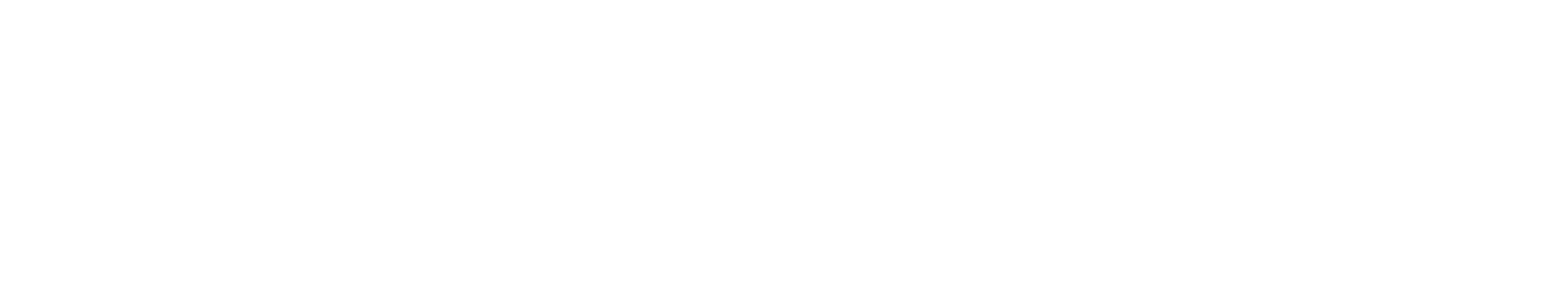 Quantum 910X