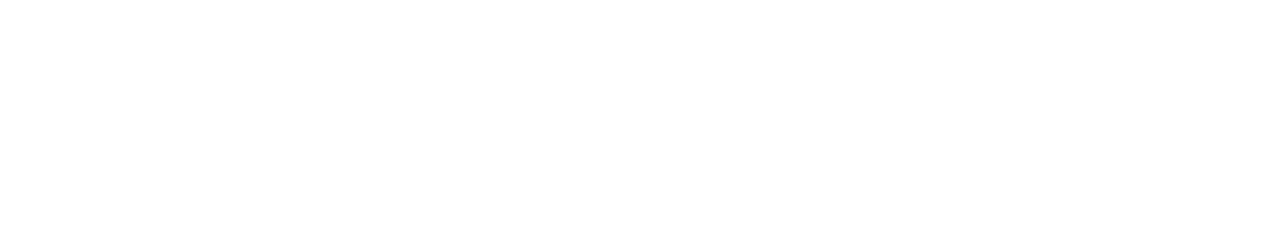 Quantum 100P