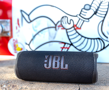 JBL Flip 6