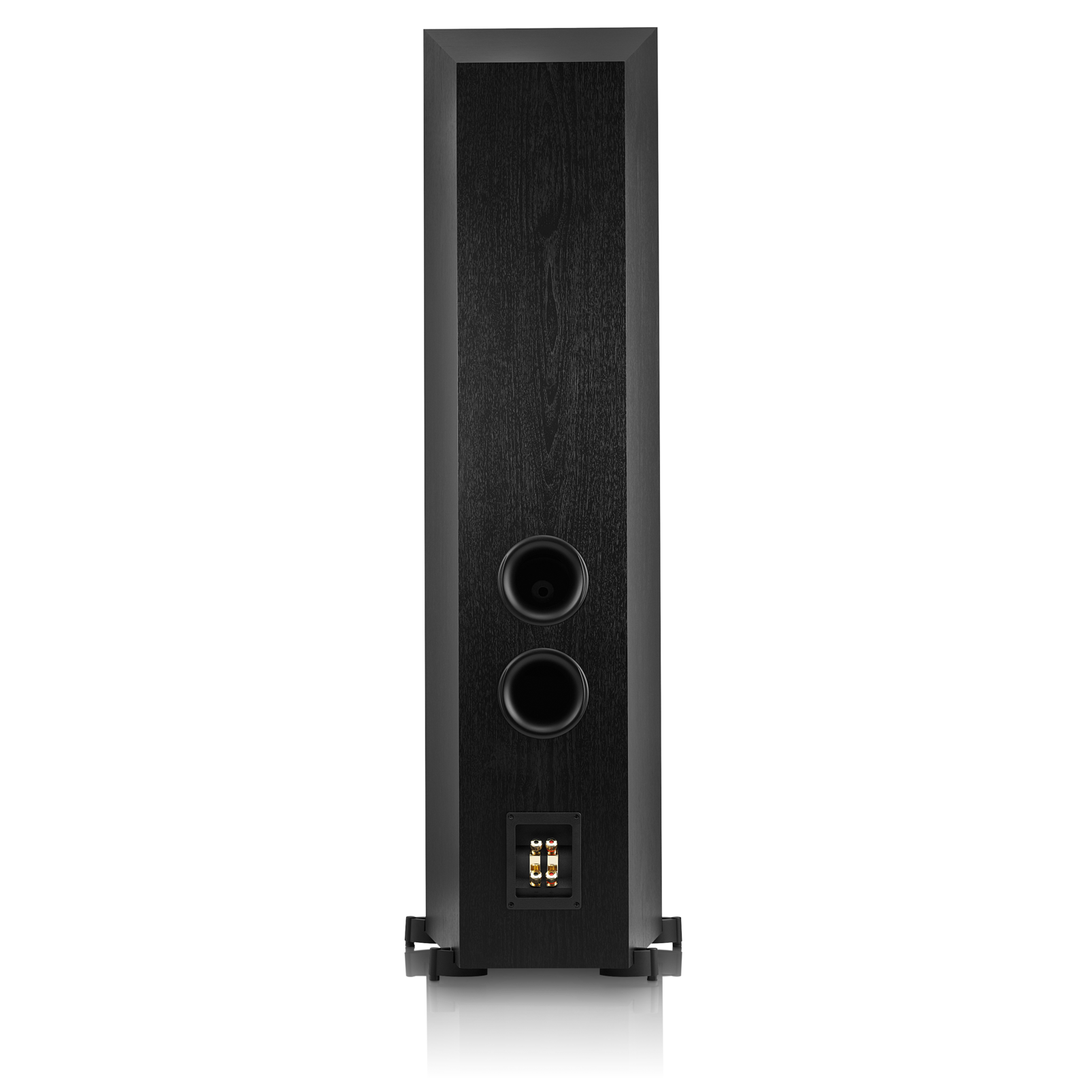 Studio 590 | 250-watt, dual 8